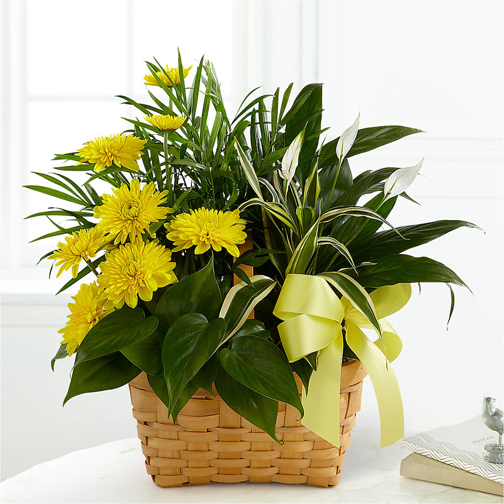 Loving Light Dishgarden – BLOOM FLOWERS & EVENT RENTALS, Corona CA