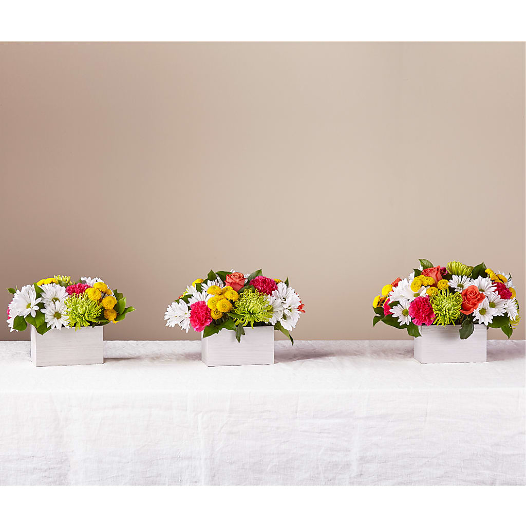 Sorbet Bouquet – BLOOM FLOWERS & EVENT RENTALS, Corona CA