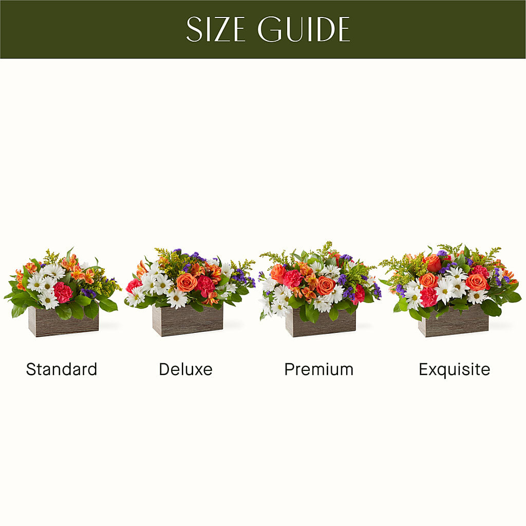 Oopsie Daisy Box Bouquet – BLOOM FLOWERS & EVENT RENTALS, Corona CA