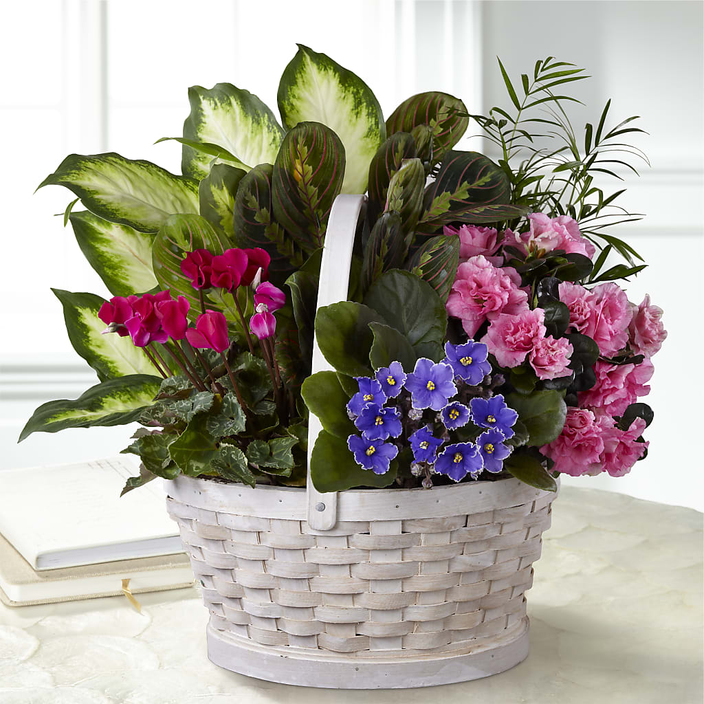 Peaceful Garden Planter – BLOOM FLOWERS & EVENT RENTALS, Corona CA