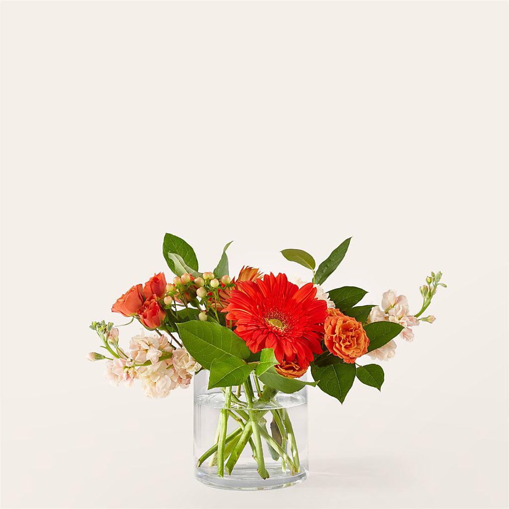 Paloma Please Bouquet – BLOOM FLOWERS & EVENT RENTALS, Corona CA