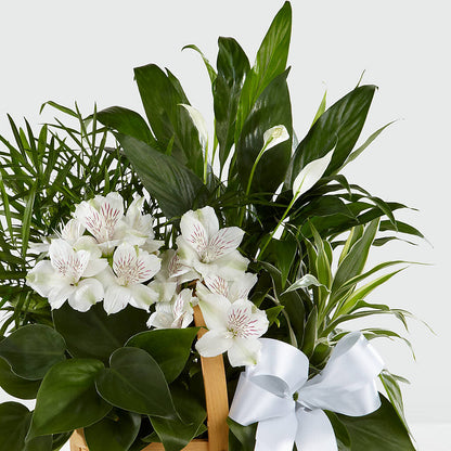 Peace & Serenity Dishgarden – BLOOM FLOWERS & EVENT RENTALS, Corona CA