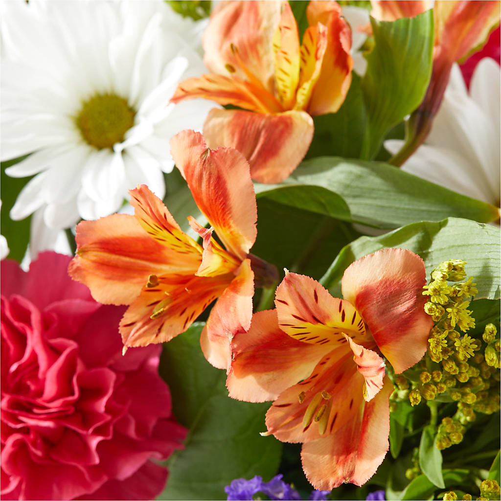Oopsie Daisy Box Bouquet – BLOOM FLOWERS & EVENT RENTALS, Corona CA