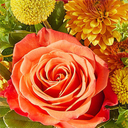 Gourdgeous Pumpkin – BLOOM FLOWERS & EVENT RENTALS, Corona CA