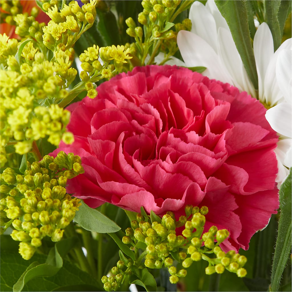 Oopsie Daisy Bouquet – BLOOM FLOWERS & EVENT RENTALS, Corona CA
