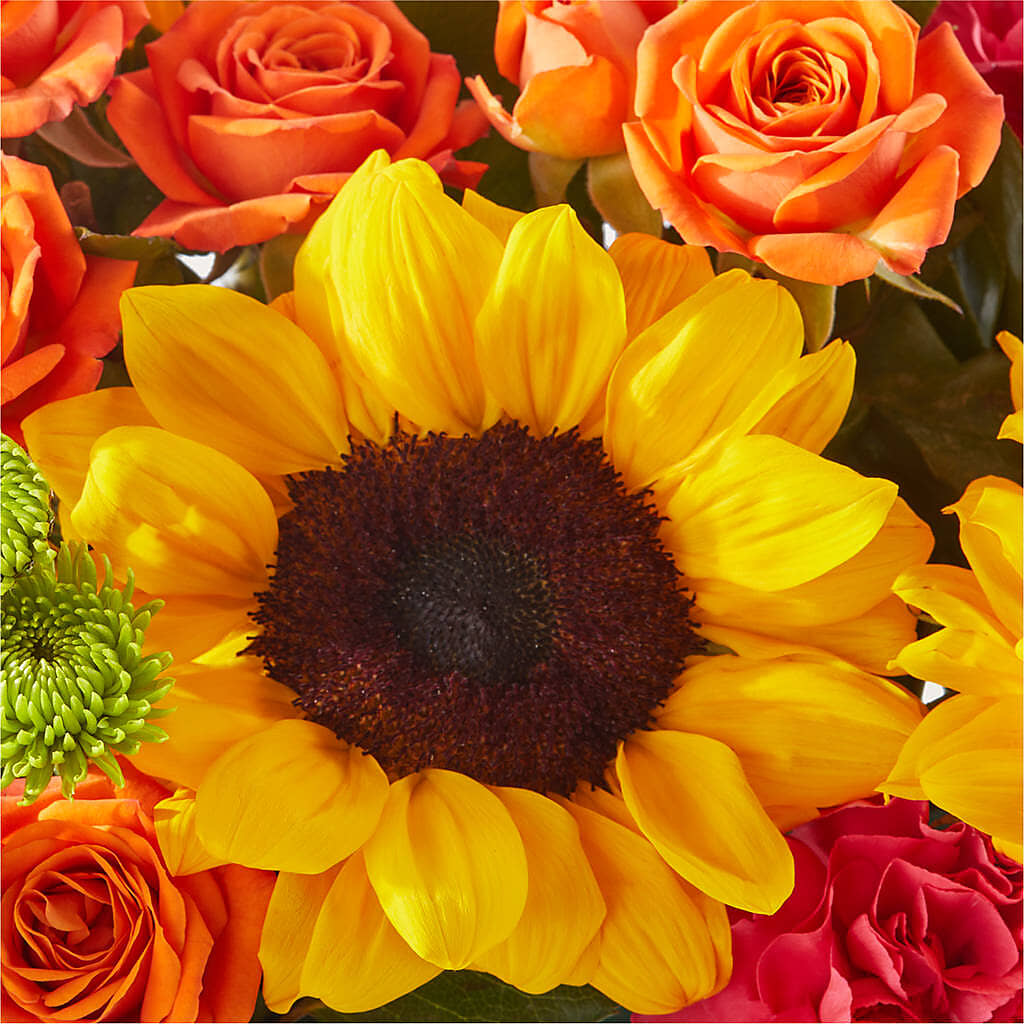 Sun-drenched Blooms Box Bouquet – BLOOM FLOWERS & EVENT RENTALS, Corona CA