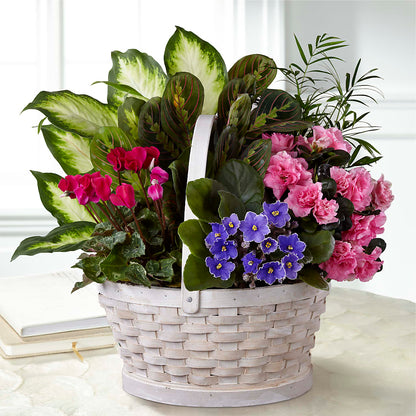 Peaceful Garden Planter – BLOOM FLOWERS & EVENT RENTALS, Corona CA