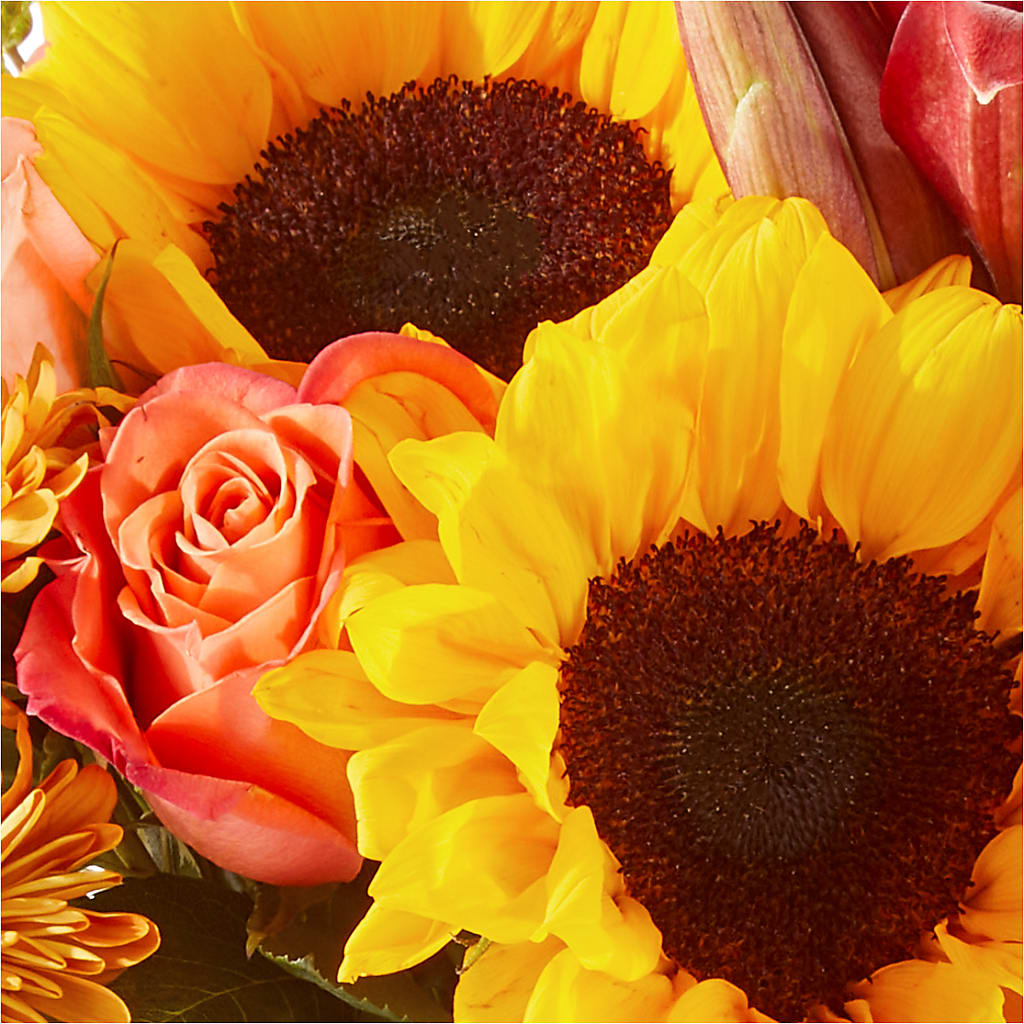 Acorn Lane Bouquet – BLOOM FLOWERS & EVENT RENTALS, Corona CA