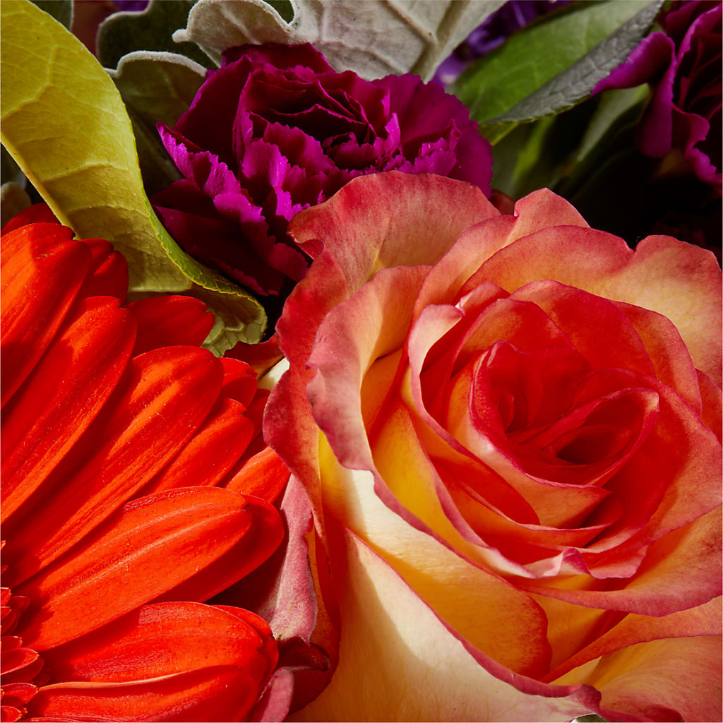 Sangria Bouquet – BLOOM FLOWERS & EVENT RENTALS, Corona CA