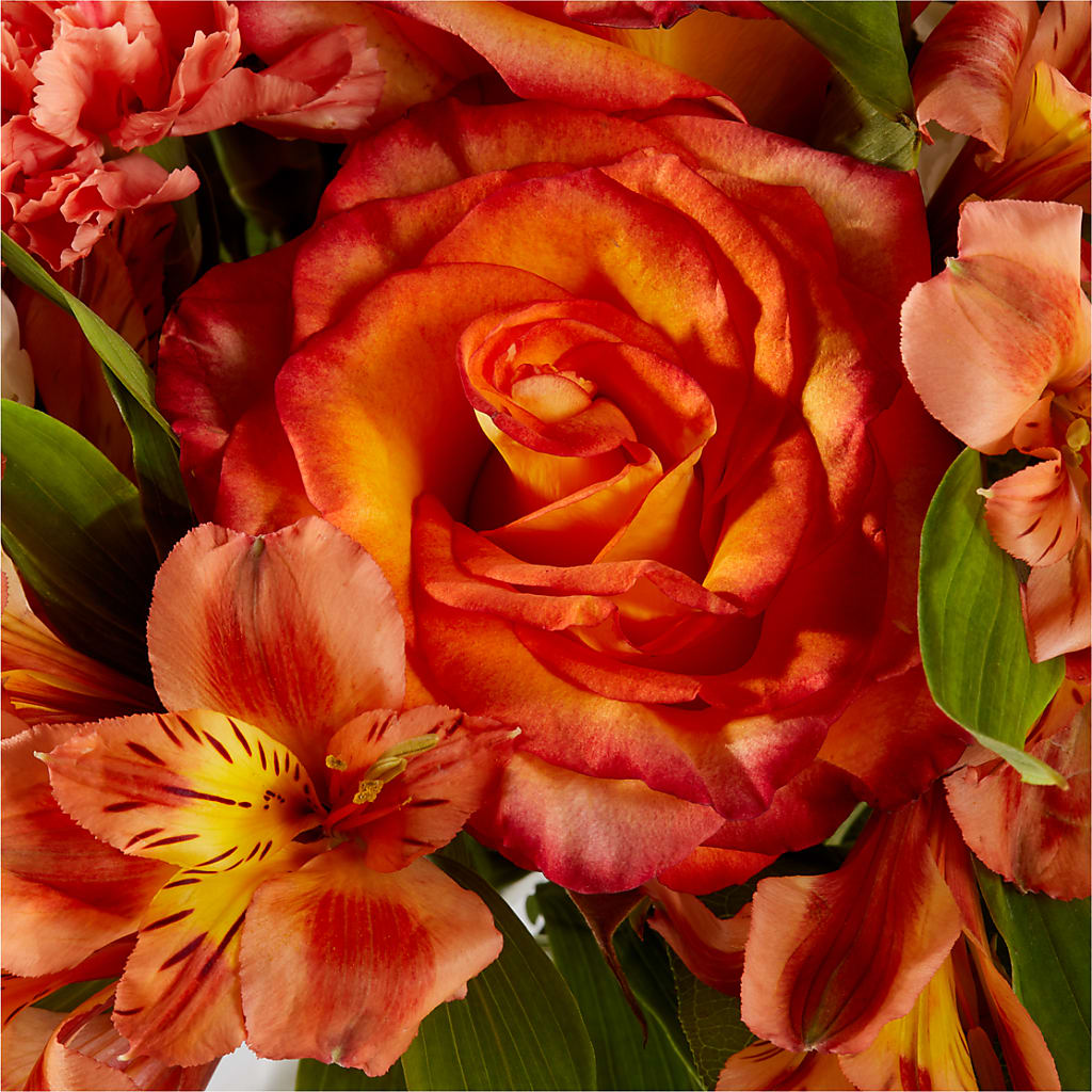 Apricot Glow Bouquet – BLOOM FLOWERS & EVENT RENTALS, Corona CA