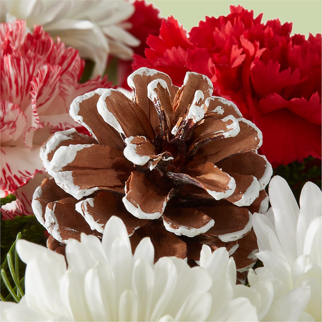 Candy Cane Lane Bouquet – BLOOM FLOWERS & EVENT RENTALS, Corona CA