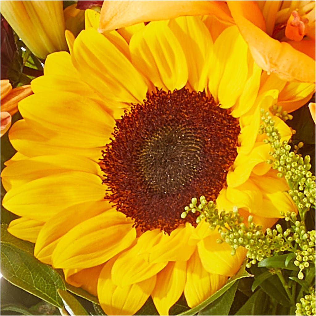 Seasons Change Bouquet – BLOOM FLOWERS & EVENT RENTALS, Corona CA