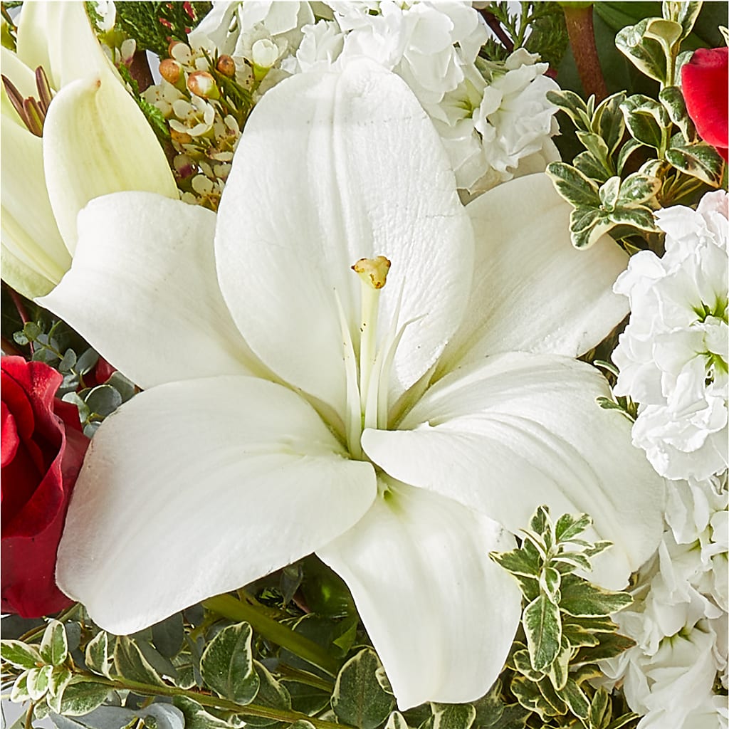 Twinkle Lights Bouquet – BLOOM FLOWERS & EVENT RENTALS, Corona CA