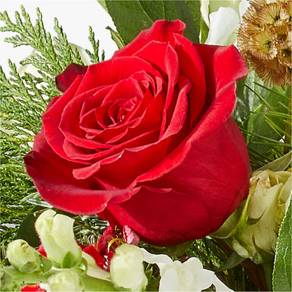 Deck the Halls Bouquet – BLOOM FLOWERS & EVENT RENTALS, Corona CA