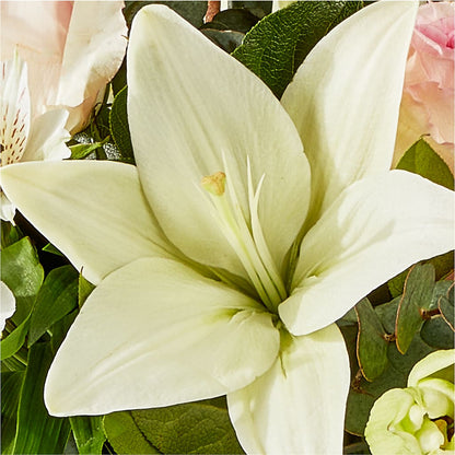 Ballet Slippers Bouquet – BLOOM FLOWERS & EVENT RENTALS, Corona CA
